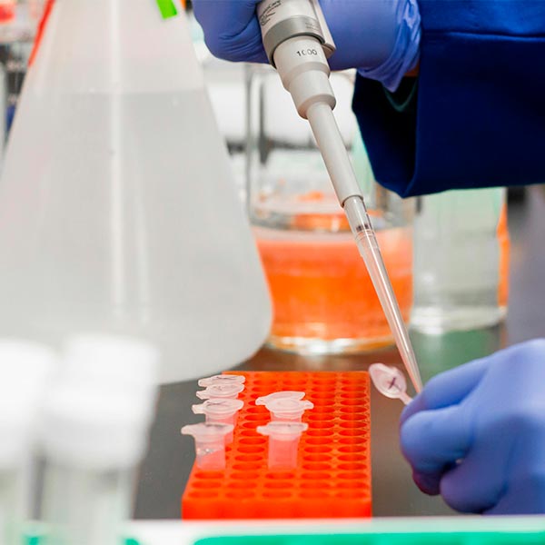 Laboratory